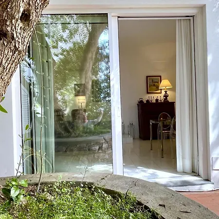 Villa Olive Capri