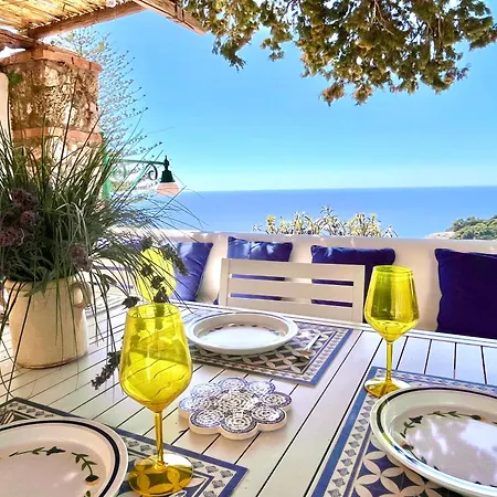 Olive Villa *