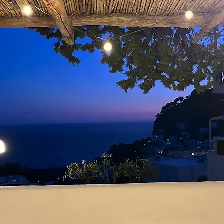 Olive Villa Capri