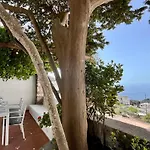 Olive * كابري