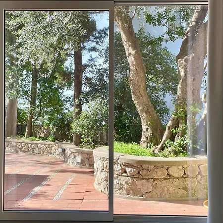 Olive Vila Capri