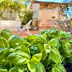 Olive Villa *
