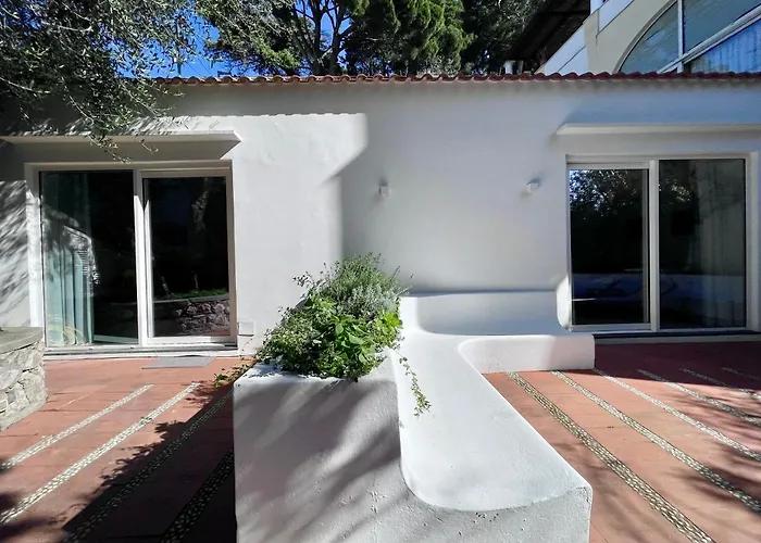 Olive Βίλα Κάπρι